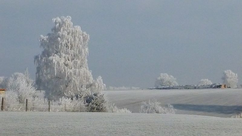 Winter Februar 2012